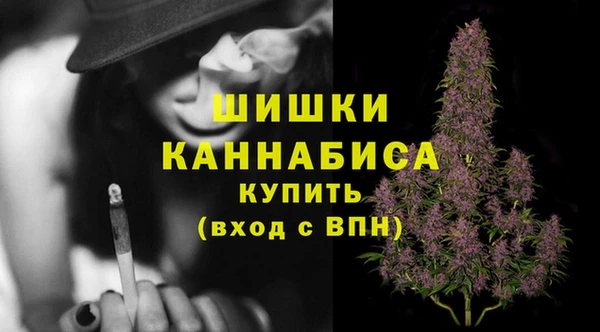 гидропоника Нягань