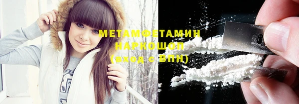 индика Бикин