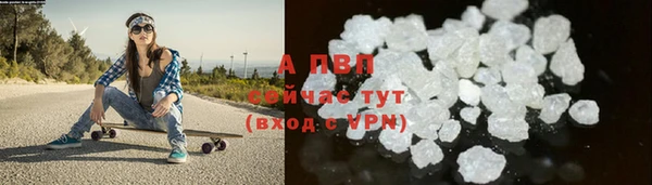 гашик Новозыбков