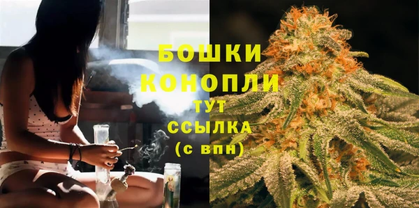 гашик Новозыбков