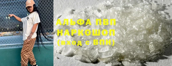 индика Бикин