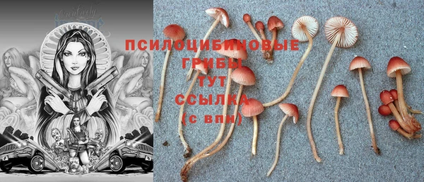 ГАЛЛЮЦИНОГЕННЫЕ ГРИБЫ Нязепетровск