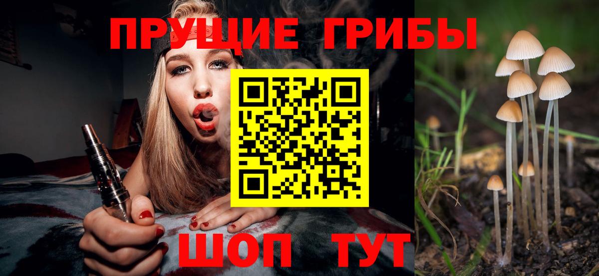Псков  Галлюциногенные грибы MAGIC MUSHROOMS  Вход с VPN 