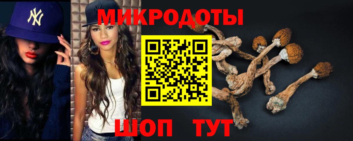 Галлюциногенные грибы Cubensis Псков